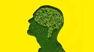 IEEE：回答与人工智能、能源和可持续性相关的问题