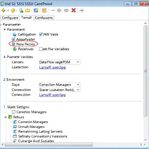 微软 BI 系列随笔 - SSIS 基础 - 参数与环境
